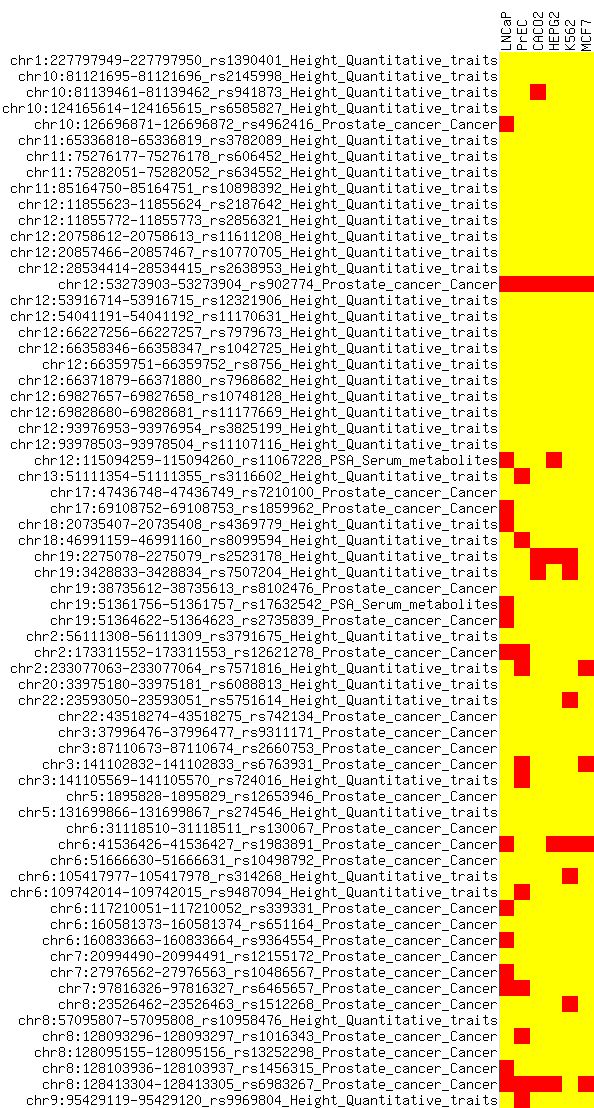 ../../_images/SNP_DHS_matrix.png