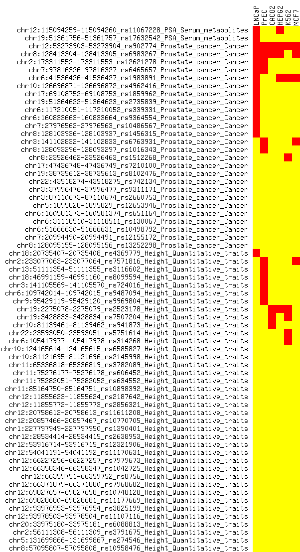 ../../_images/SNP_DHS_matrix_diseaseSorted.png