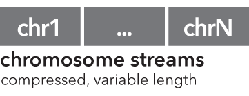 ../../../../_images/starch_specification_chromosomestreams.png