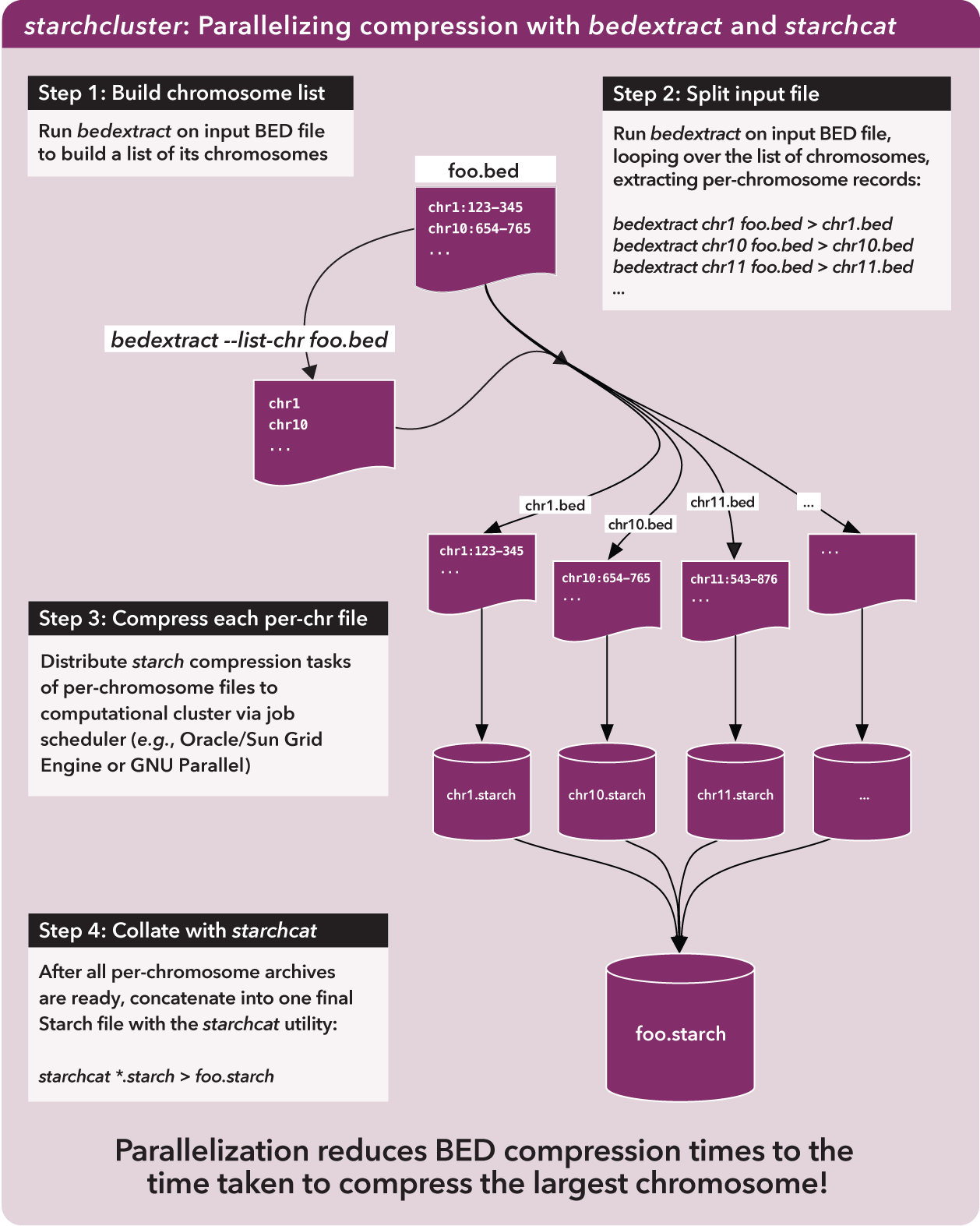 ../../_images/starchcluster_mechanism.png