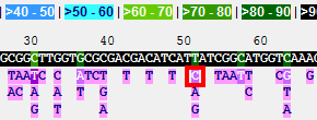 ../_images/locus_explorer5.png