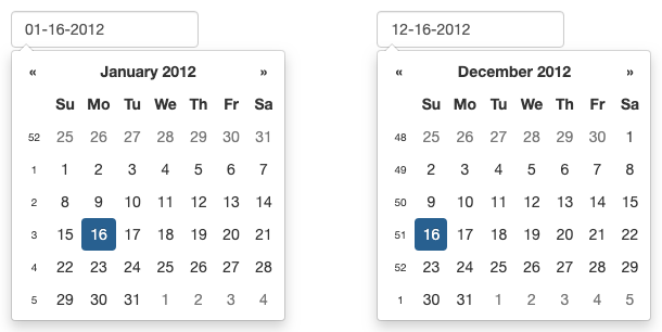 ../_images/option_calendarweeks.png