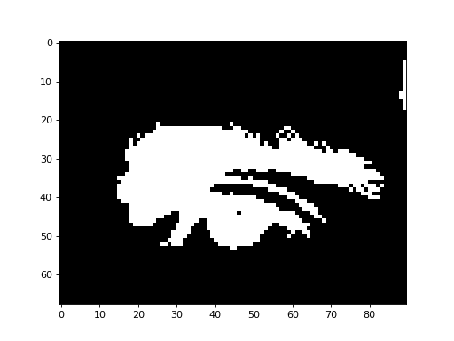 ../_images/morphology-1.png