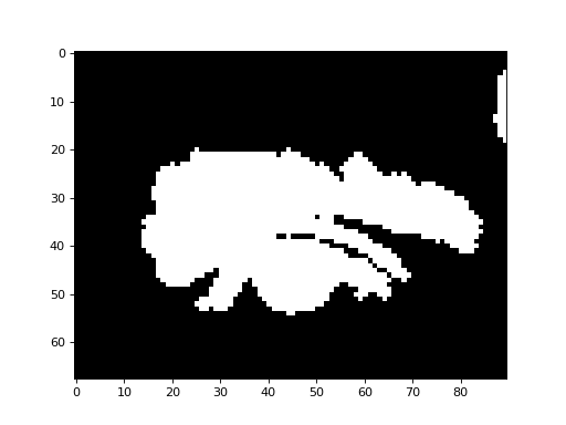 ../_images/morphology-2.png