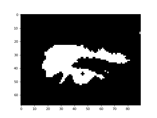 ../_images/morphology-3.png