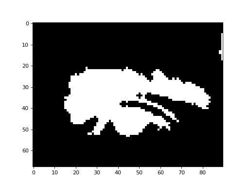 ../_images/morphology-4.png