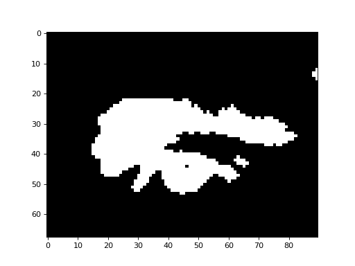 ../_images/morphology-5.png