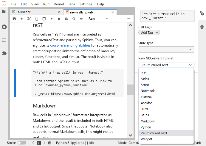 Steps for converting cells to Raw formats in JupyterLab