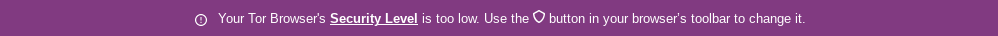 Warning banner: Your Tor Browser's Security Level is too low.