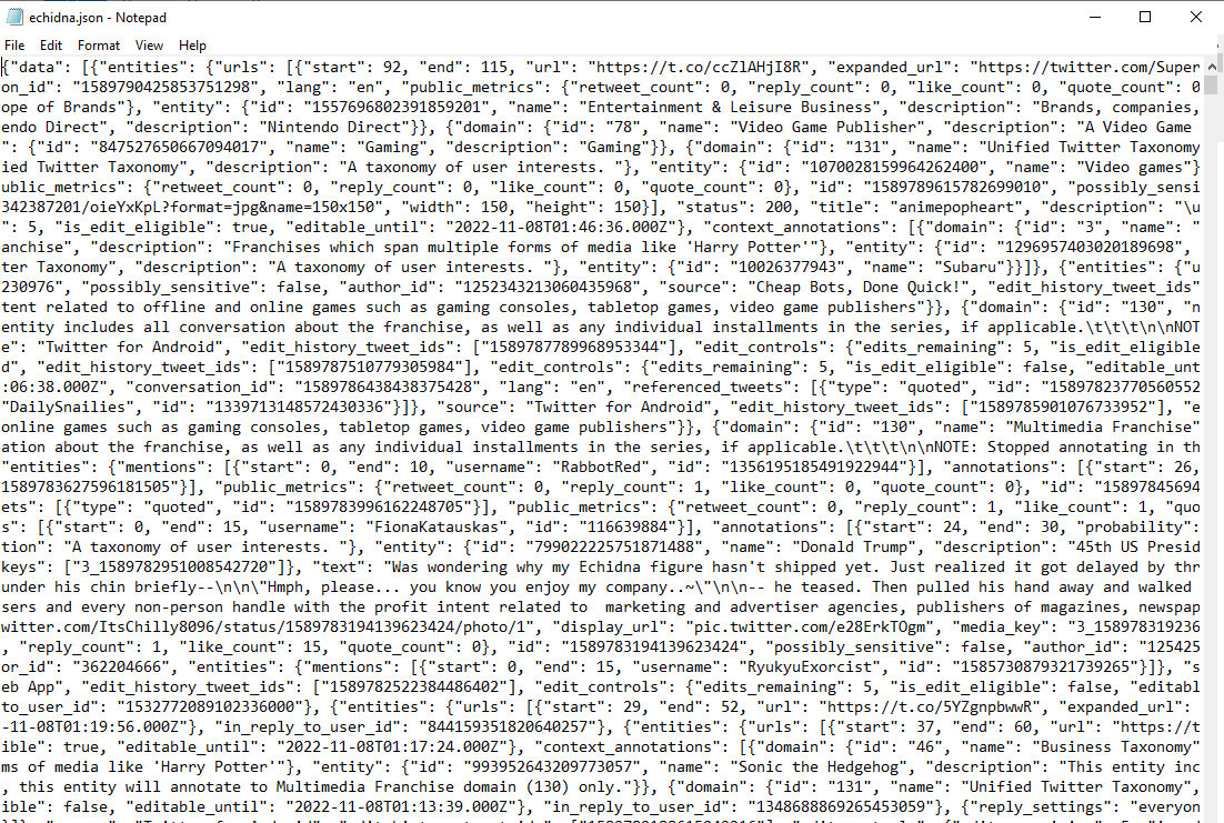 Screenshot of the json file in notepad