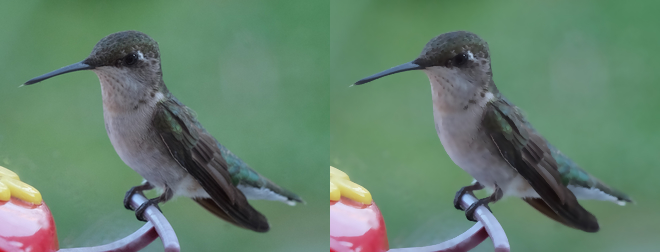 Hummingbird - Enhance